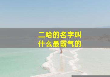 二哈的名字叫什么最霸气的