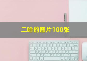 二哈的图片100张