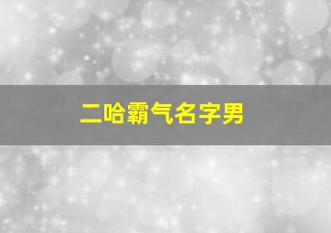 二哈霸气名字男