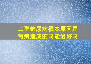 二型糖尿病根本原因是肾病造成的吗能治好吗