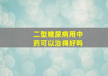 二型糖尿病用中药可以治得好吗