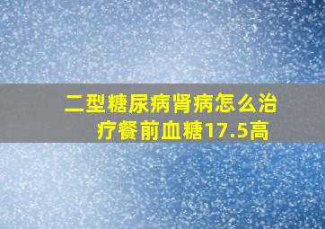 二型糖尿病肾病怎么治疗餐前血糖17.5高