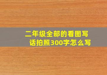 二年级全部的看图写话拍照300字怎么写