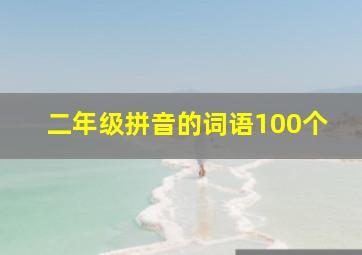 二年级拼音的词语100个