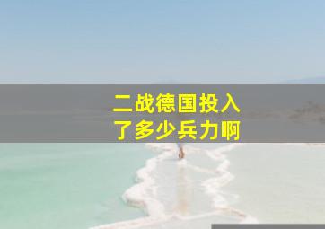 二战德国投入了多少兵力啊