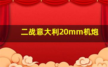 二战意大利20mm机炮