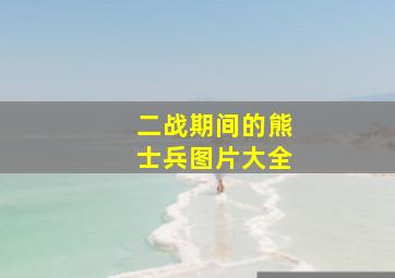 二战期间的熊士兵图片大全