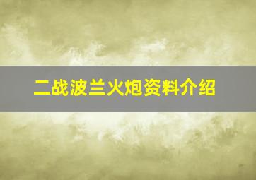 二战波兰火炮资料介绍