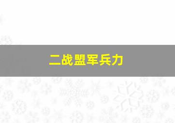 二战盟军兵力