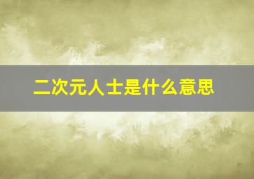 二次元人士是什么意思