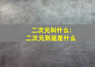 二次元叫什么:二次元到底是什么