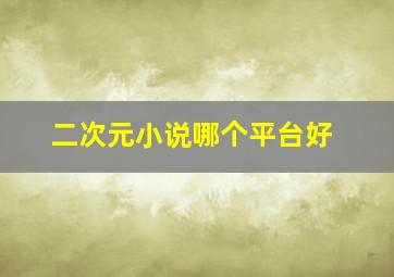 二次元小说哪个平台好