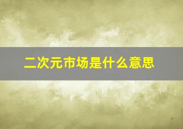 二次元市场是什么意思