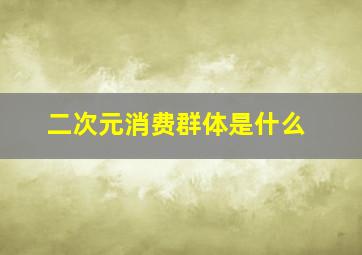 二次元消费群体是什么