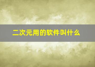 二次元用的软件叫什么