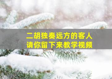 二胡独奏远方的客人请你留下来教学视频