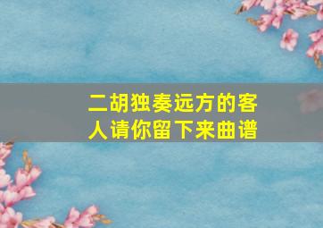 二胡独奏远方的客人请你留下来曲谱