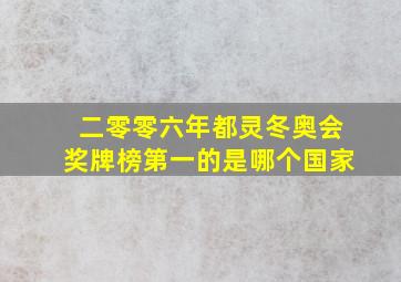 二零零六年都灵冬奥会奖牌榜第一的是哪个国家