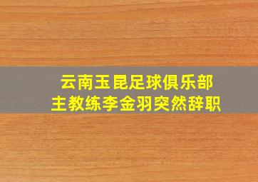 云南玉昆足球俱乐部主教练李金羽突然辞职