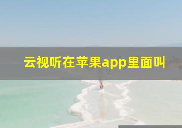 云视听在苹果app里面叫