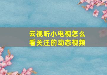 云视听小电视怎么看关注的动态视频