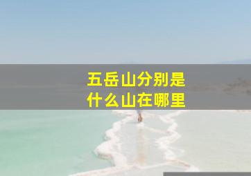 五岳山分别是什么山在哪里