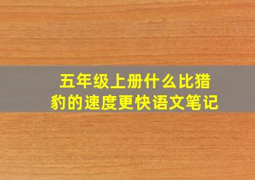 五年级上册什么比猎豹的速度更快语文笔记