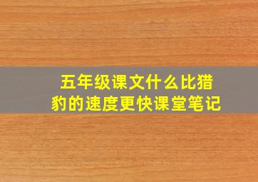 五年级课文什么比猎豹的速度更快课堂笔记