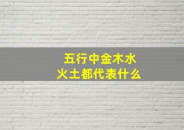 五行中金木水火土都代表什么