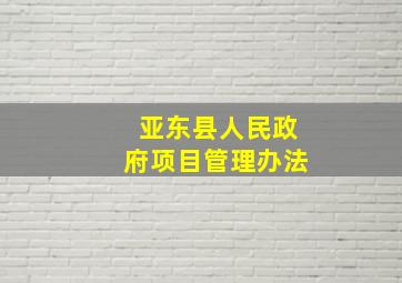 亚东县人民政府项目管理办法