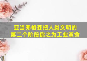 亚当弗格森把人类文明的第二个阶段称之为工业革命