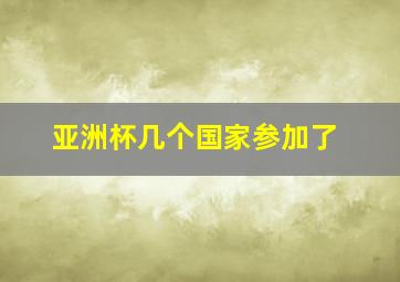 亚洲杯几个国家参加了