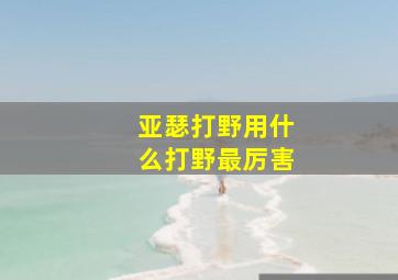 亚瑟打野用什么打野最厉害