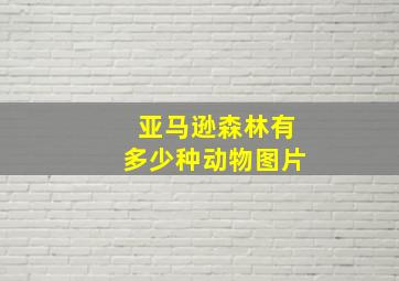 亚马逊森林有多少种动物图片