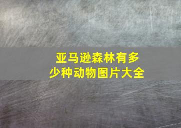 亚马逊森林有多少种动物图片大全