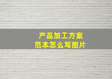 产品加工方案范本怎么写图片