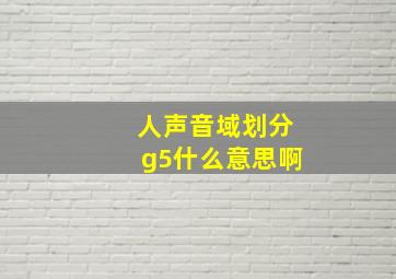 人声音域划分g5什么意思啊