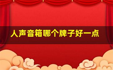 人声音箱哪个牌子好一点