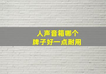 人声音箱哪个牌子好一点耐用