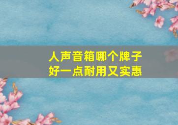 人声音箱哪个牌子好一点耐用又实惠