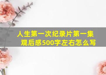 人生第一次纪录片第一集观后感500字左右怎么写