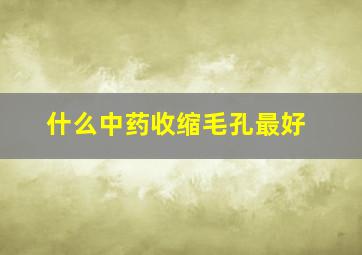 什么中药收缩毛孔最好