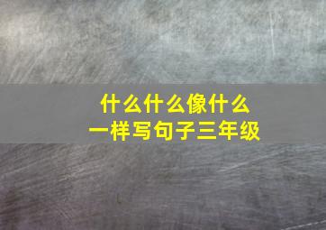 什么什么像什么一样写句子三年级