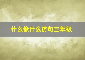 什么像什么仿句三年级