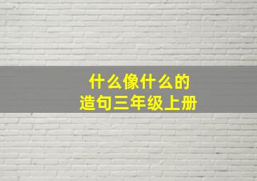 什么像什么的造句三年级上册