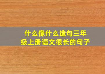 什么像什么造句三年级上册语文很长的句子