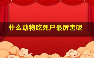 什么动物吃死尸最厉害呢