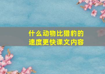 什么动物比猎豹的速度更快课文内容