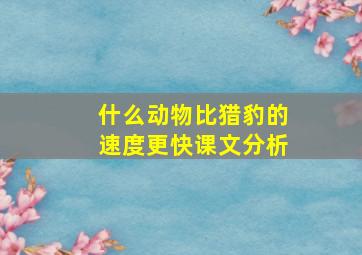 什么动物比猎豹的速度更快课文分析