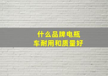 什么品牌电瓶车耐用和质量好